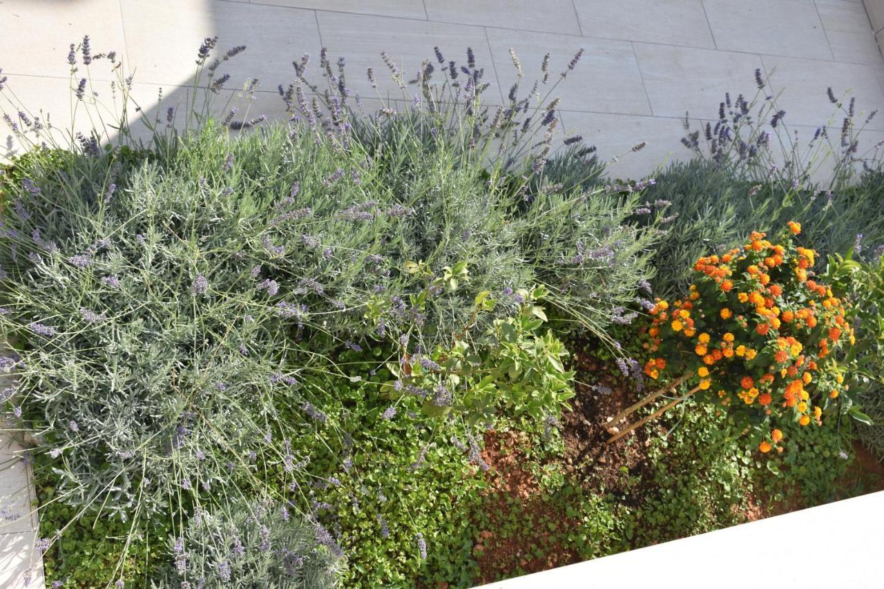 דוברובניק Apartments Marlin Blue מראה חיצוני תמונה